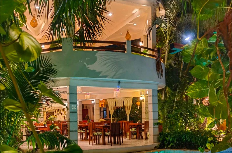 Orquidea Restaurant